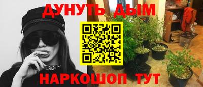 дурь Гай