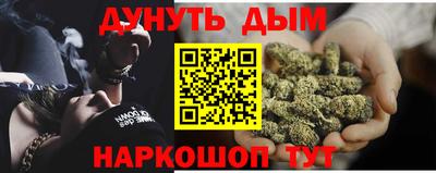 мдпв Гатчина