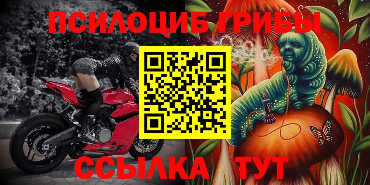 Псилоцибиновые грибы мухоморы  цена наркотик  Азов  Вход с VPN 