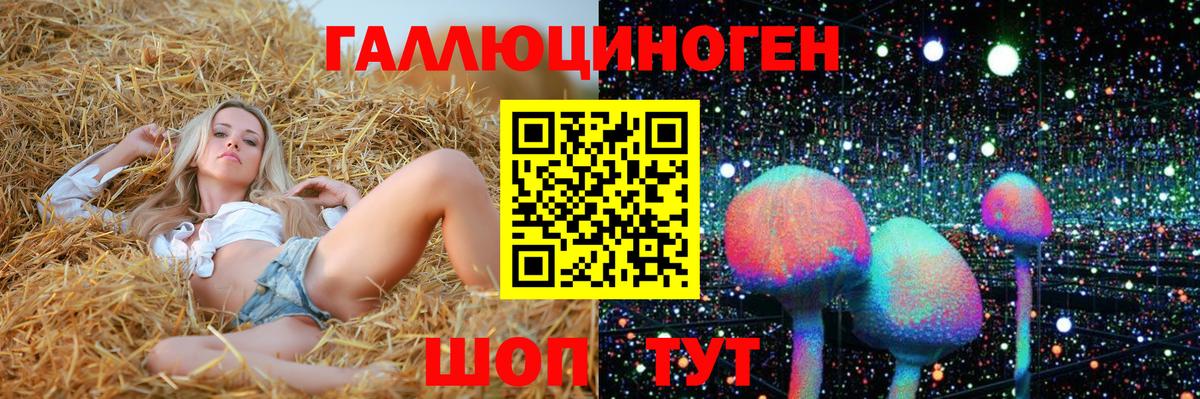 Галлюциногенные грибы Psilocybe  Азов 