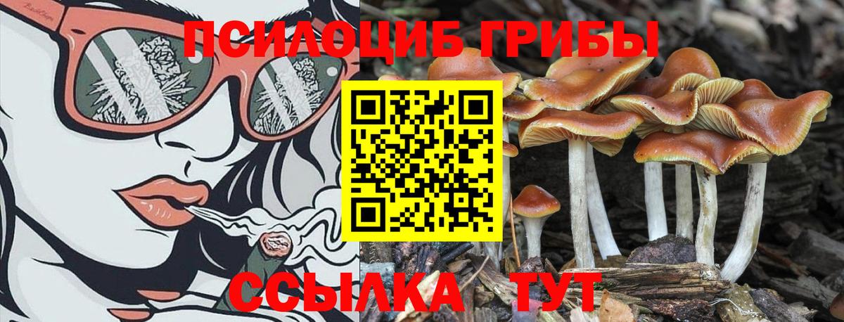 Галлюциногенные грибы мухоморы Азов